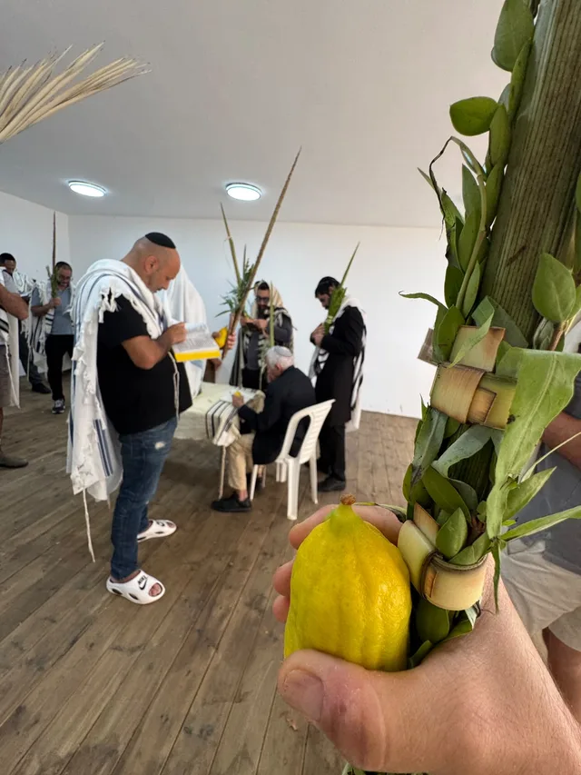אתרוג ולולב ביד, ומאחור מתפללים בהלל