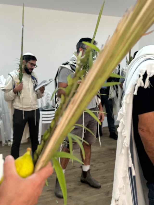 לולב מורם בזמן הנענועים